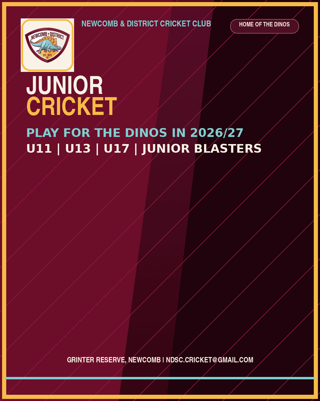 Junior Cricket: Play for the Dinos in 2026/27