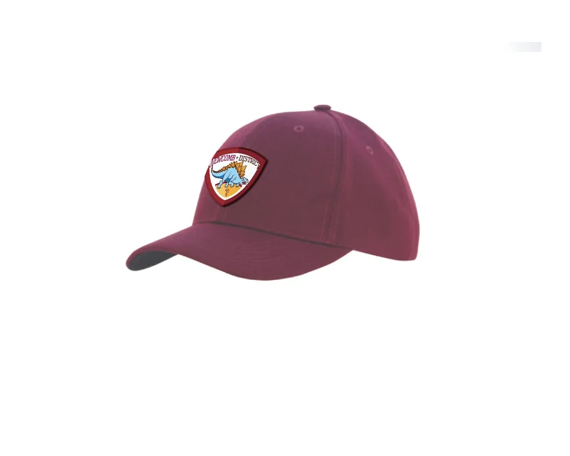 NDCC maroon cap shown from the side.
