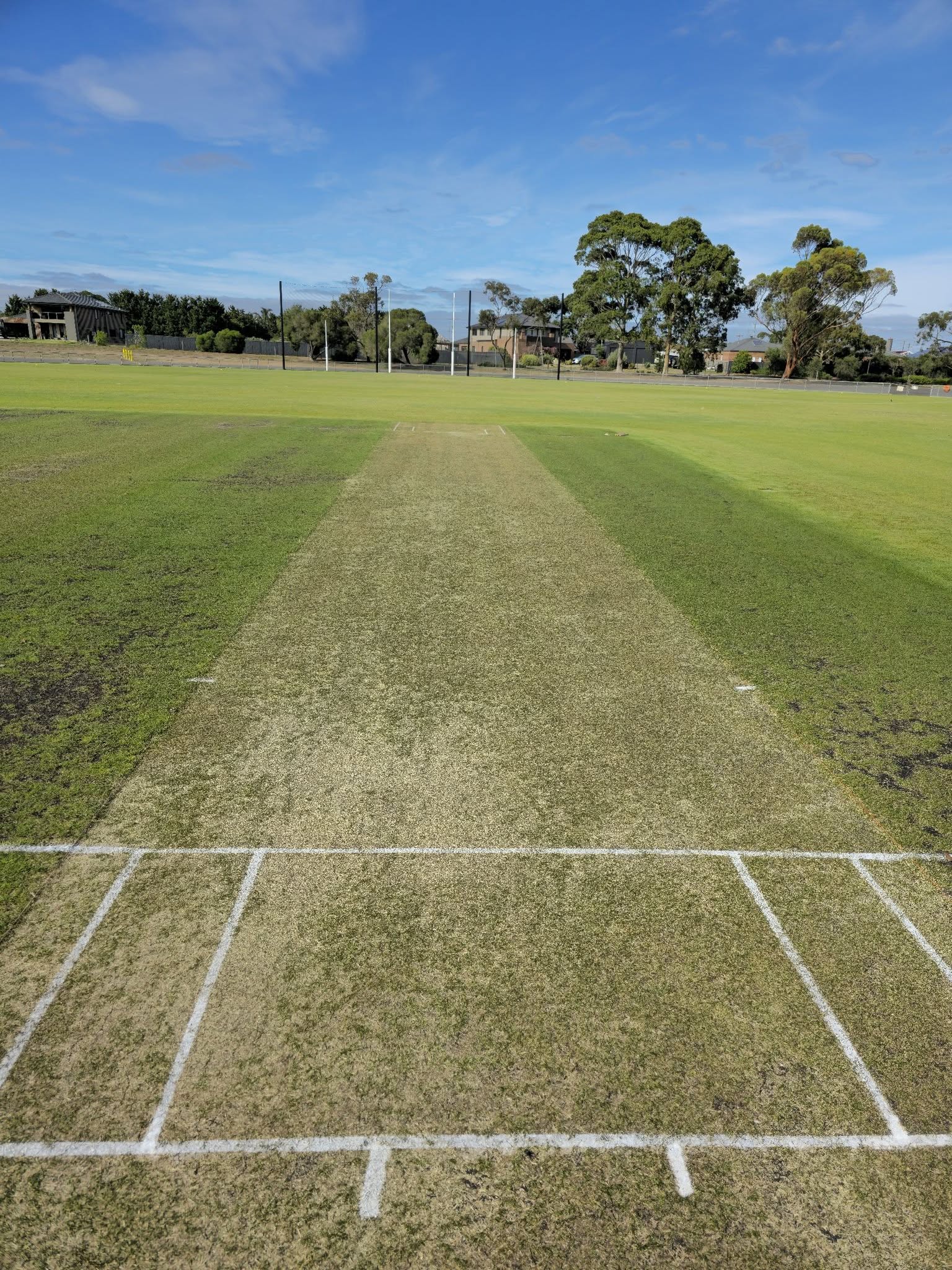 Close-up of the turf wicket square with white crease markings and blue sky